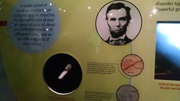 Lincoln's hair1